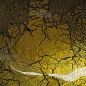 ガラス黒薩摩 桜島灰銀箔金彩ワイングラス