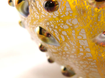 銀箔金彩　パール片口