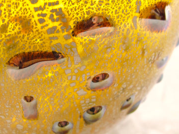 銀箔金彩　パール片口